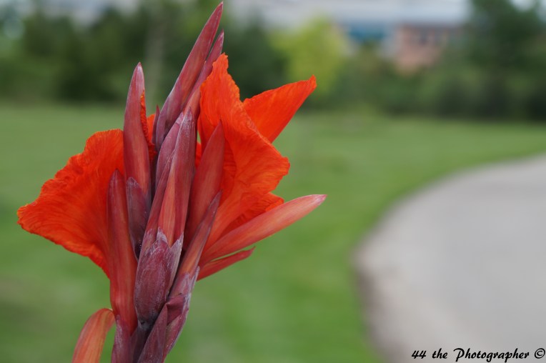 44 - Beauty of Nature.jpg