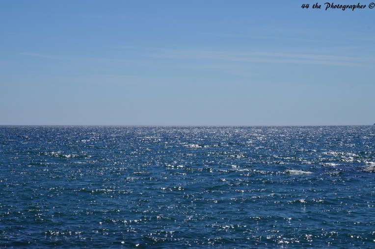 44 - Beauty of Water.jpg