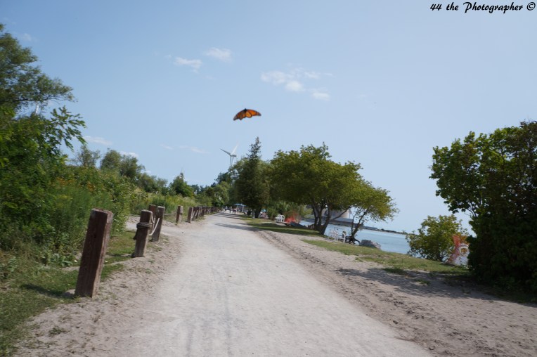 44 - Caught the Butterfly.jpg