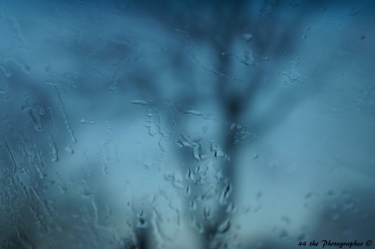 44-Glacier View I.jpg