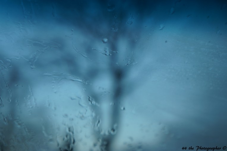 44 - Iced Shot I.jpg