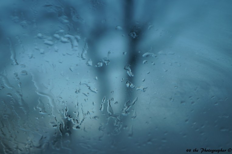 44 - Iced Shot II.jpg