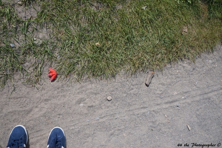 44-Shoes on Gravel.jpg