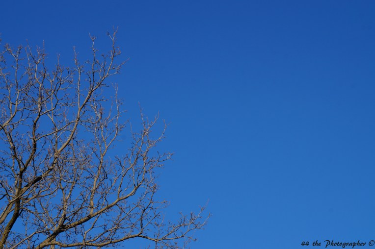 44- Winter Sky and Blues