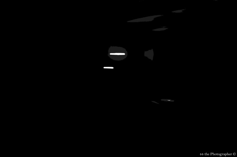 44 - Light and Dim.jpg