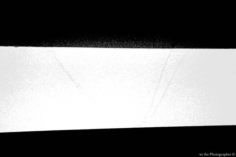 Spider Webs over Black and White.jpg