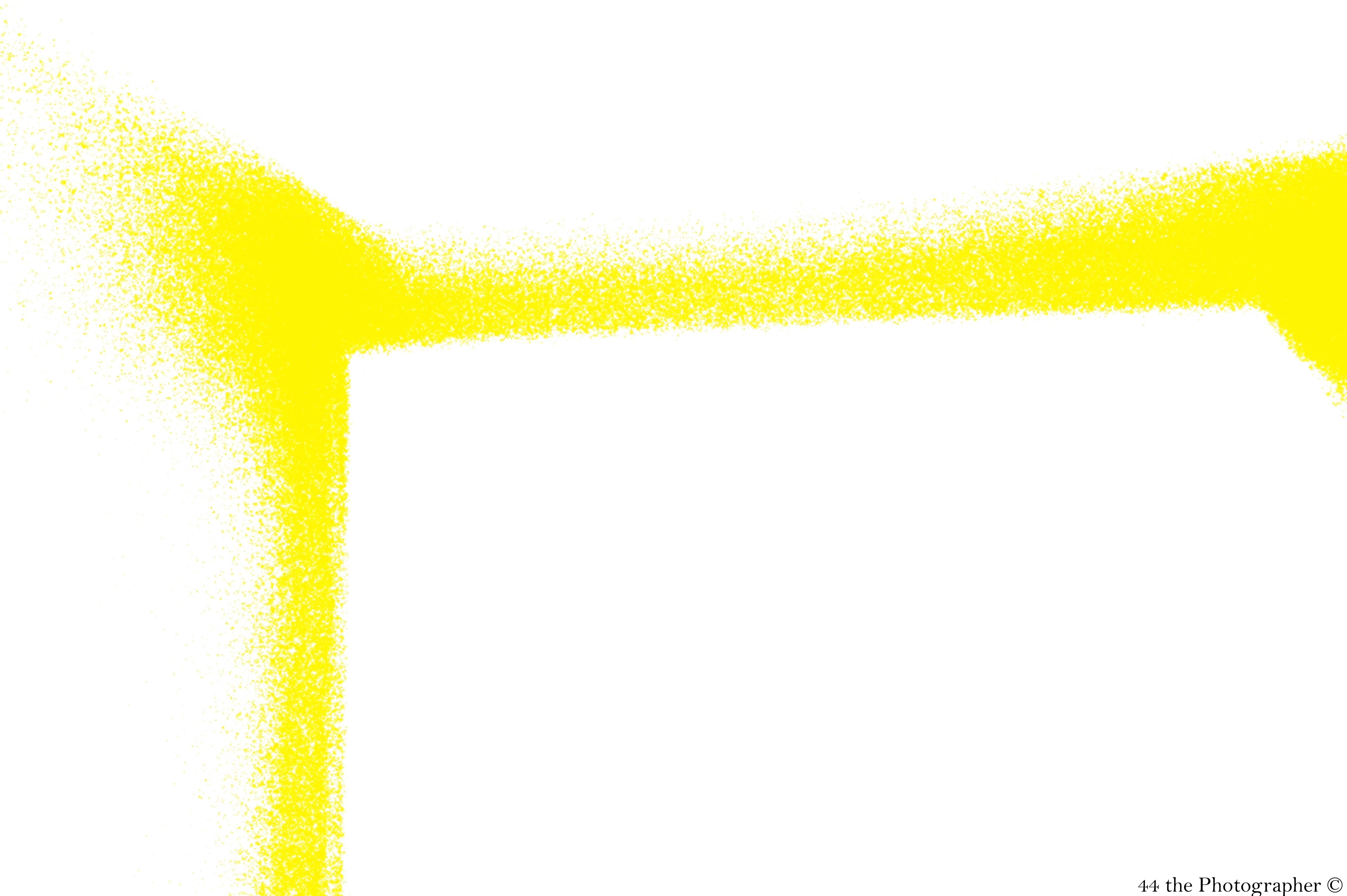White and Yellow.jpg