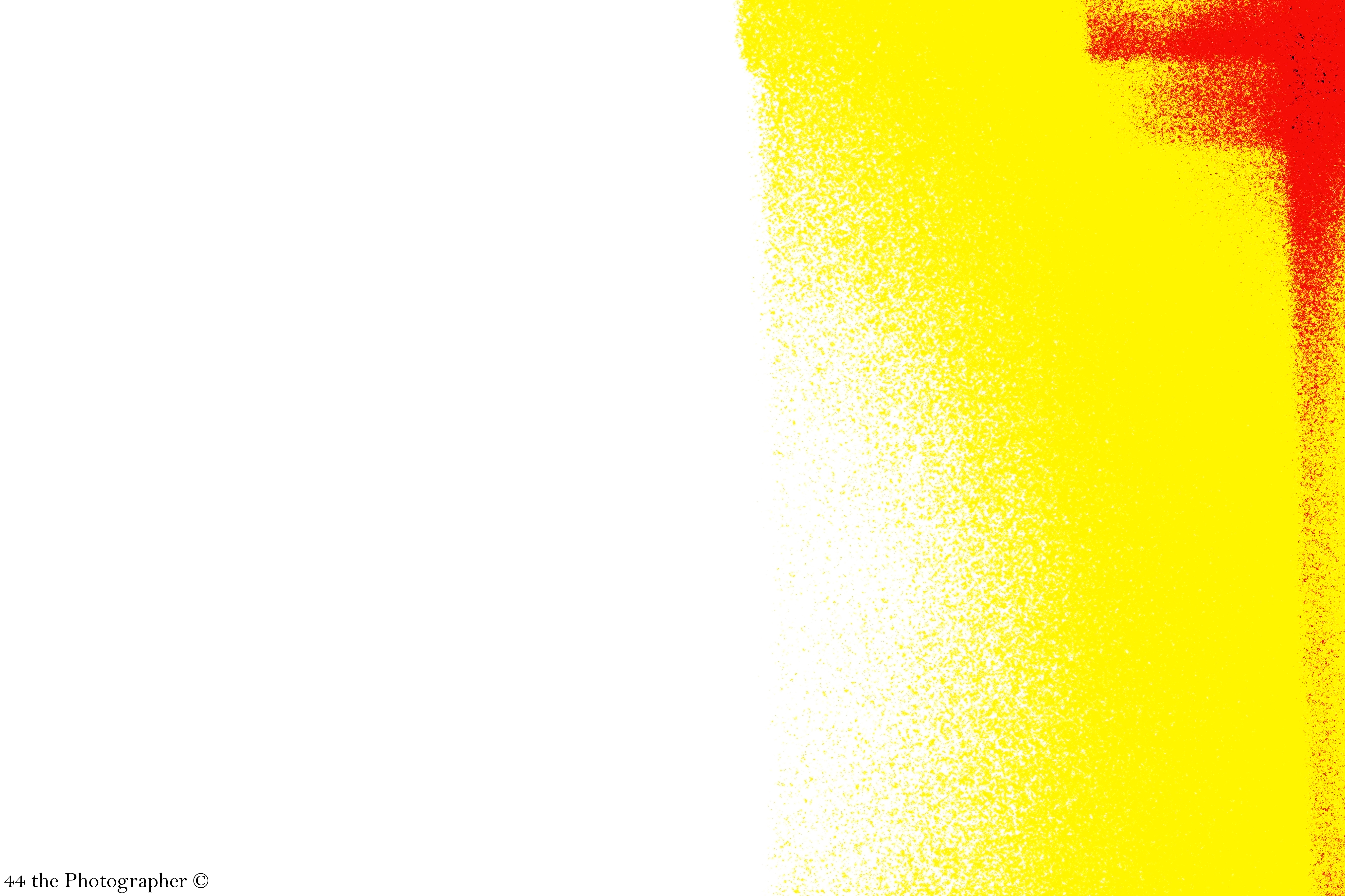 Yellow and Reds II.jpg